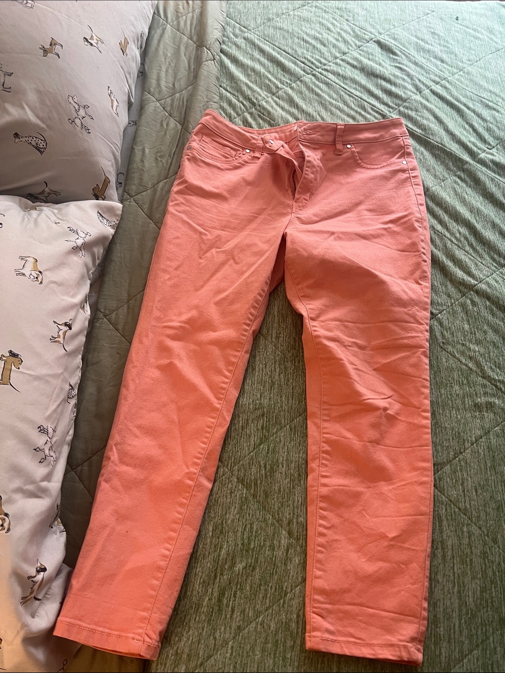 d. jeans Coral-Orange Straight Pants